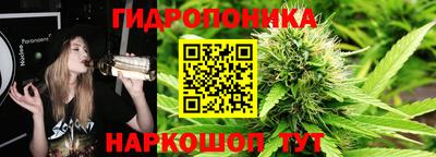 эйфоретик Краснодар