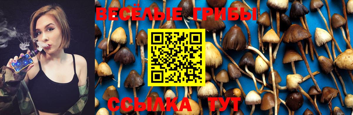 Псилоцибиновые грибы Psilocybe  Галлюциногенные грибы GOLDEN TEACHER  Когалым  где купить наркоту  Вход с VPN 